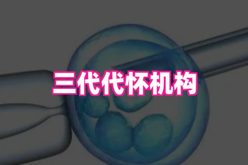安徽助孕网 2